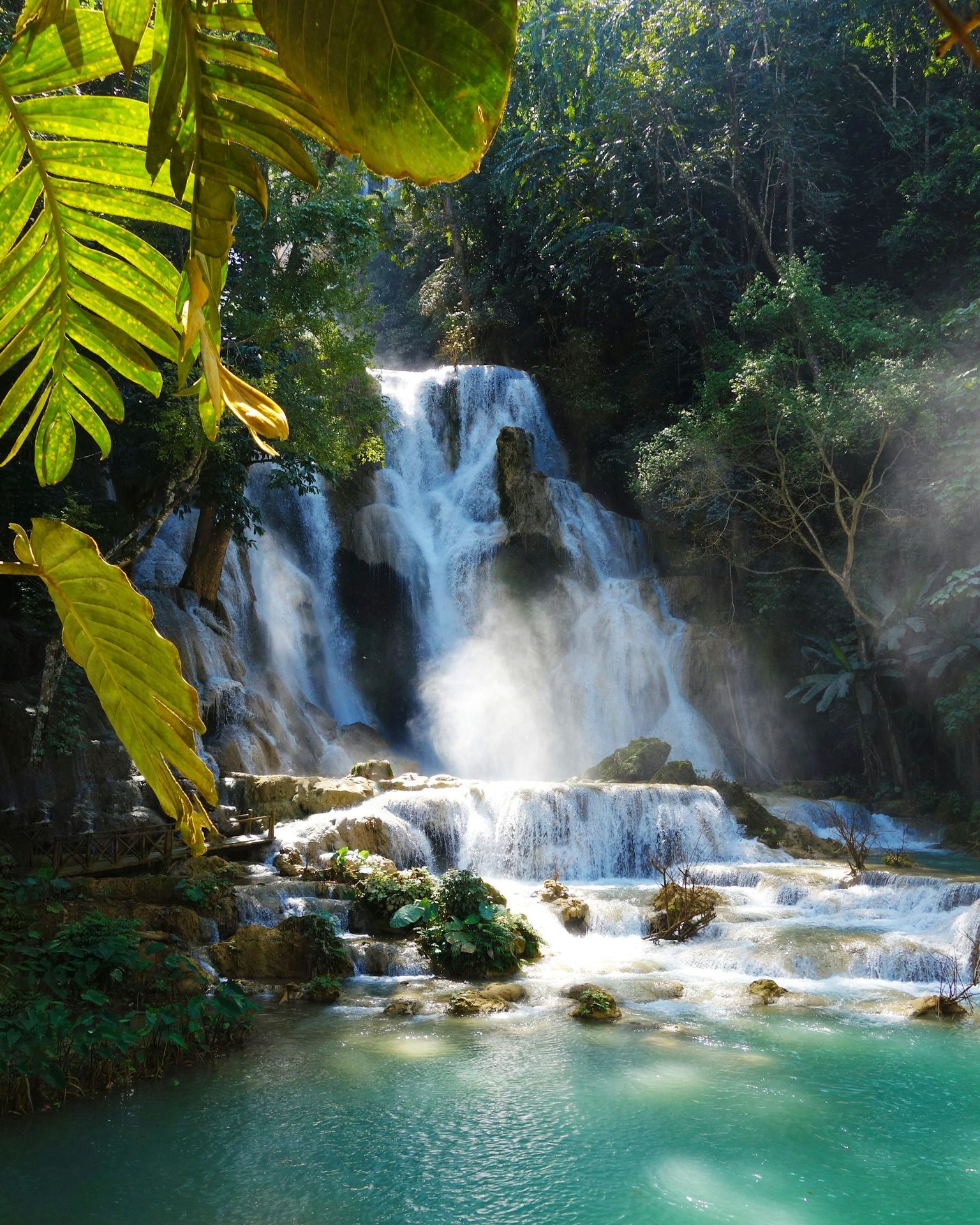 a large waterfall in the middle of a forest